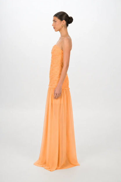 Renata Apricot