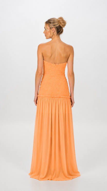 Renata Apricot