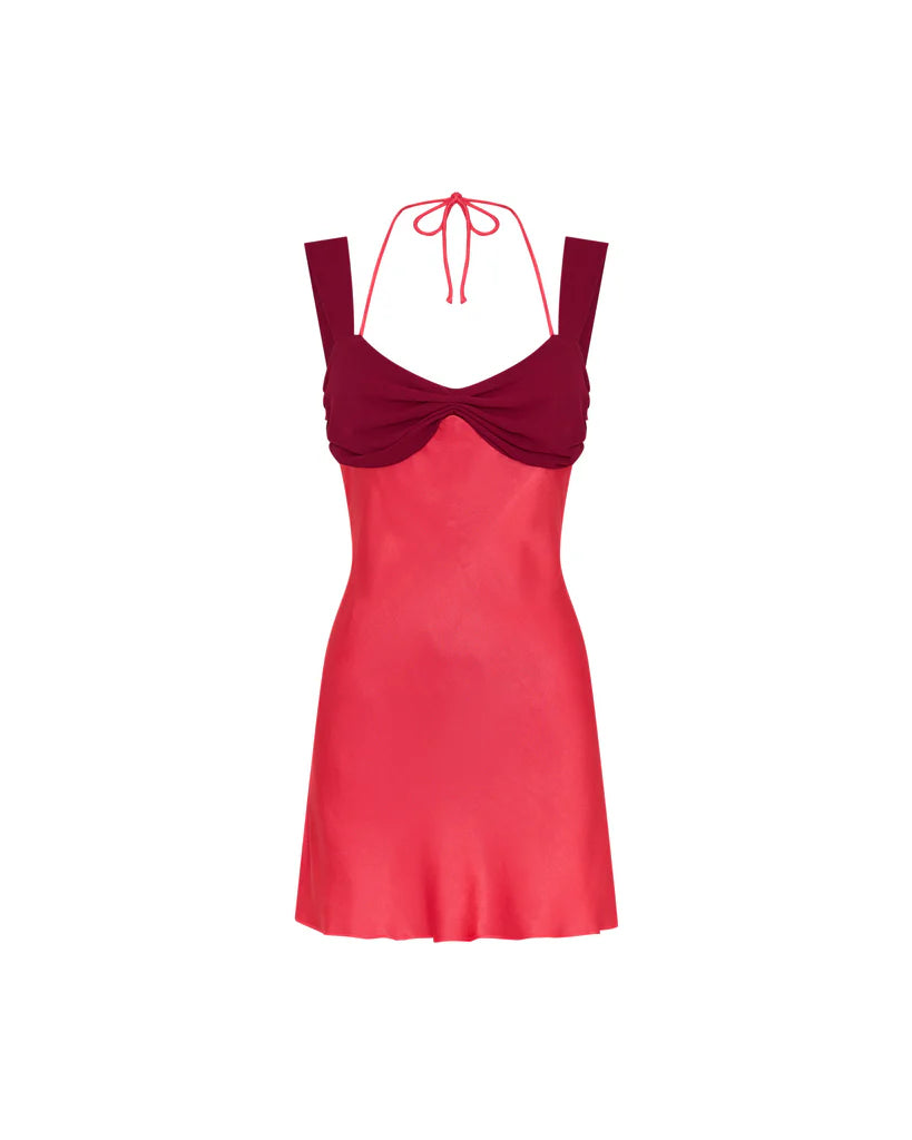 Aeriel Mini Rose