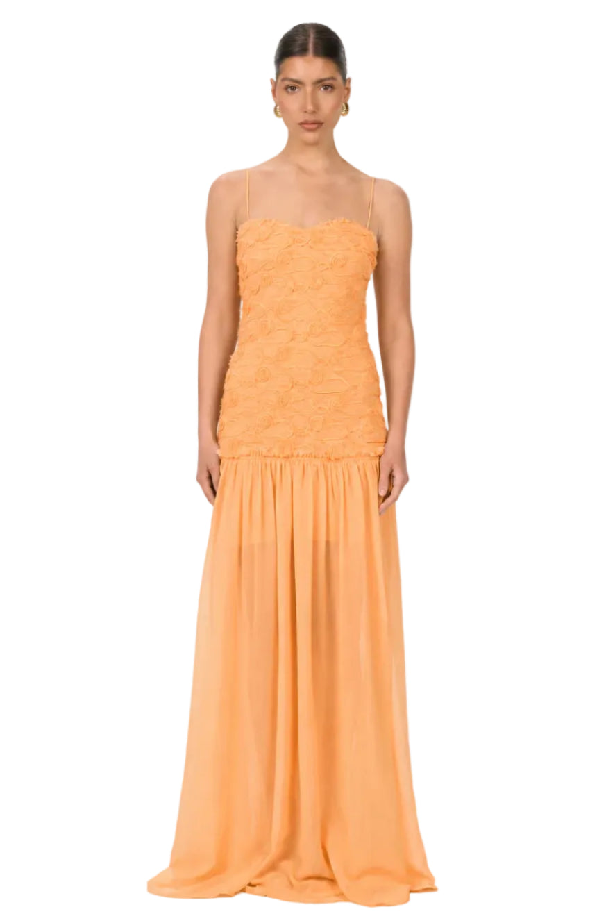 Renata Apricot