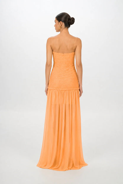 Renata Apricot